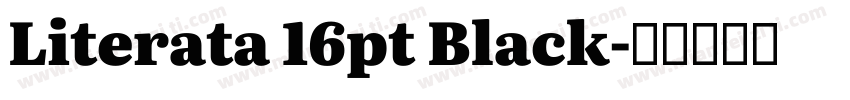 Literata 16pt Black字体转换